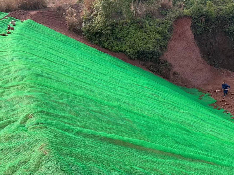 三維植被網