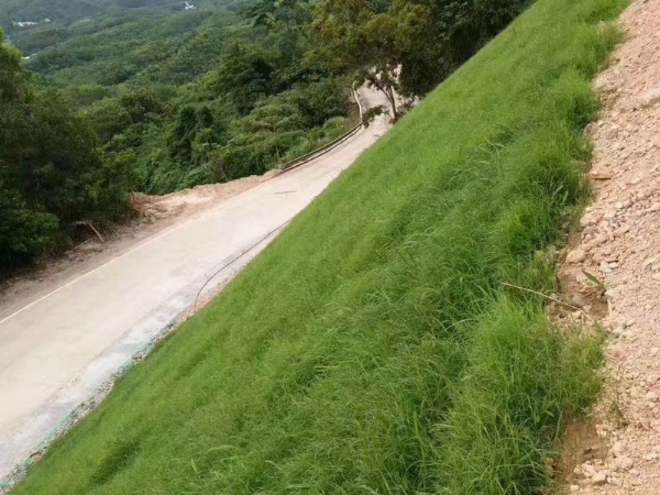 三維植被網